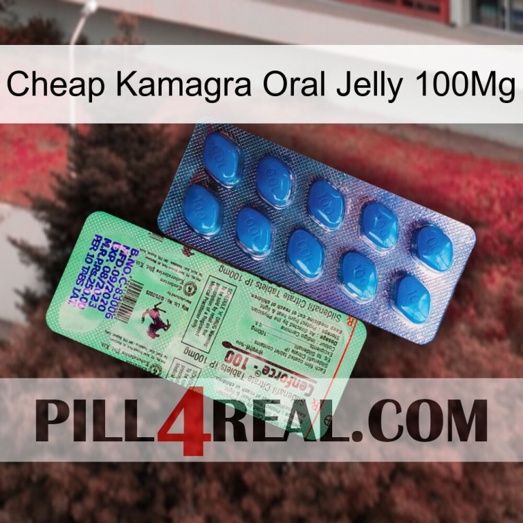 Cheap Kamagra Oral Jelly 100Mg new02